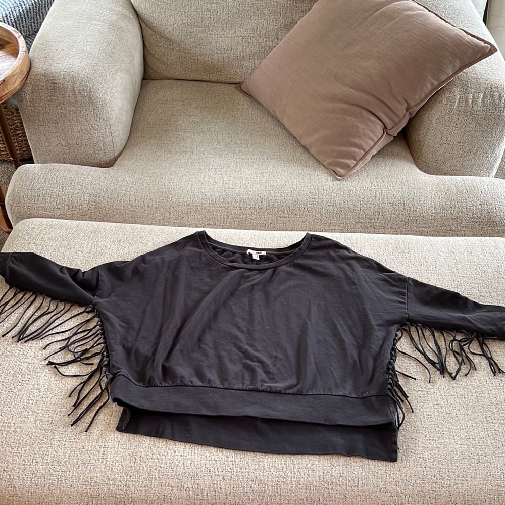 Amuse society sweatshirt